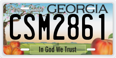 GA license plate CSM2861