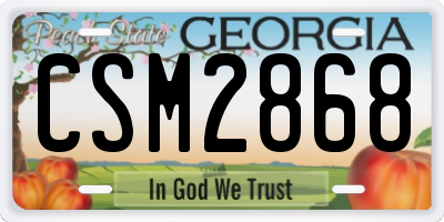 GA license plate CSM2868