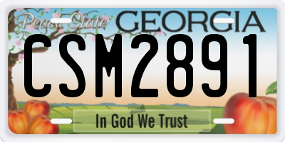 GA license plate CSM2891