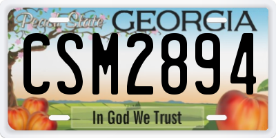 GA license plate CSM2894