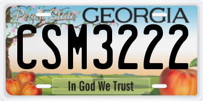 GA license plate CSM3222