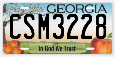 GA license plate CSM3228
