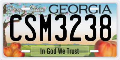 GA license plate CSM3238