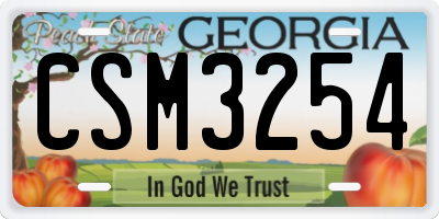 GA license plate CSM3254