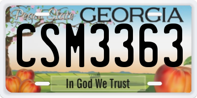 GA license plate CSM3363