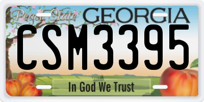 GA license plate CSM3395