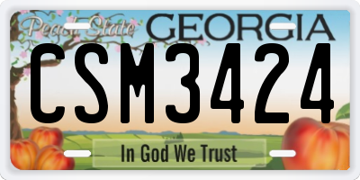 GA license plate CSM3424