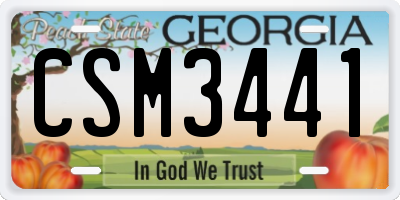 GA license plate CSM3441