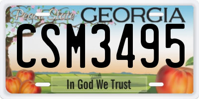 GA license plate CSM3495