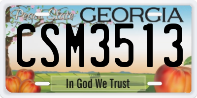 GA license plate CSM3513