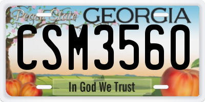 GA license plate CSM3560