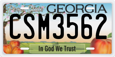 GA license plate CSM3562