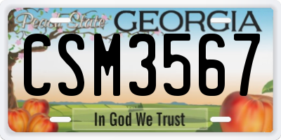 GA license plate CSM3567