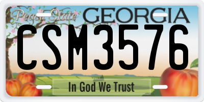 GA license plate CSM3576