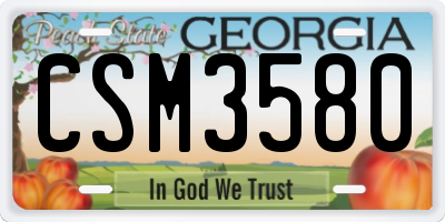 GA license plate CSM3580