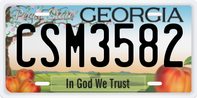 GA license plate CSM3582