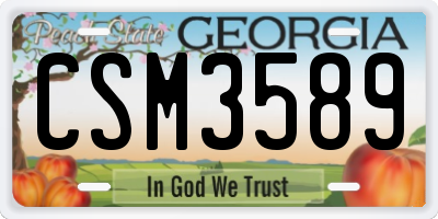 GA license plate CSM3589