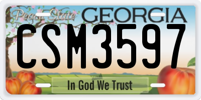 GA license plate CSM3597