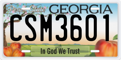 GA license plate CSM3601