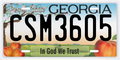 GA license plate CSM3605