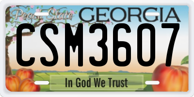 GA license plate CSM3607