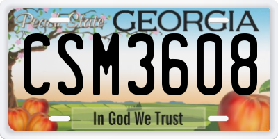 GA license plate CSM3608