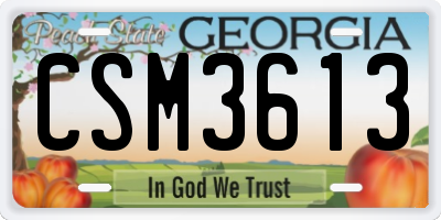 GA license plate CSM3613