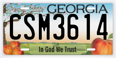 GA license plate CSM3614