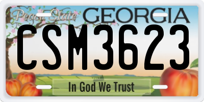GA license plate CSM3623