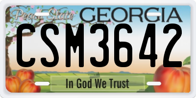 GA license plate CSM3642