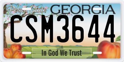 GA license plate CSM3644