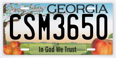 GA license plate CSM3650