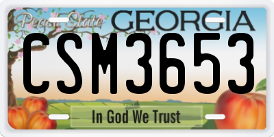 GA license plate CSM3653