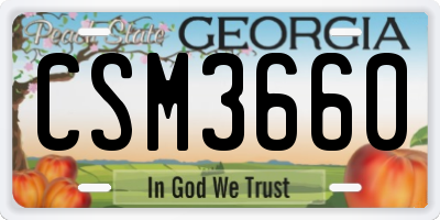 GA license plate CSM3660