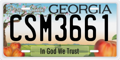 GA license plate CSM3661