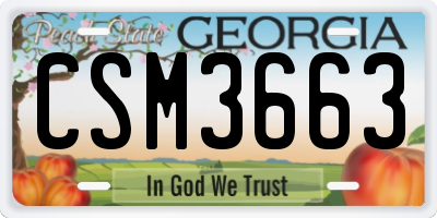 GA license plate CSM3663