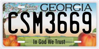 GA license plate CSM3669