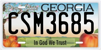 GA license plate CSM3685