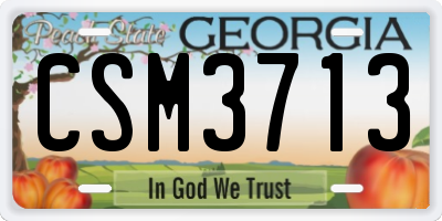GA license plate CSM3713