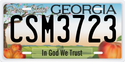 GA license plate CSM3723