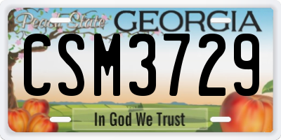 GA license plate CSM3729