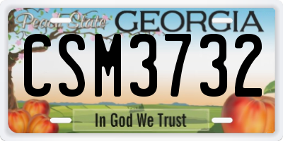 GA license plate CSM3732
