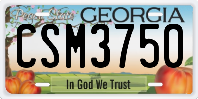 GA license plate CSM3750