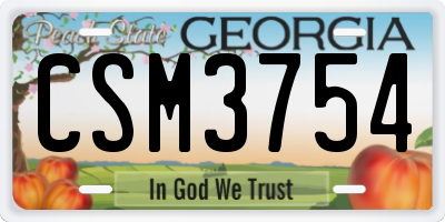 GA license plate CSM3754