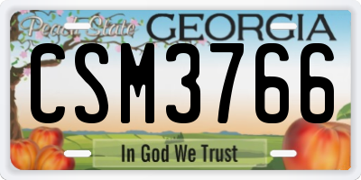 GA license plate CSM3766
