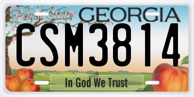 GA license plate CSM3814