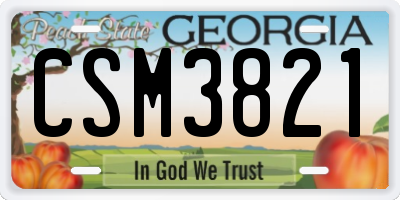 GA license plate CSM3821