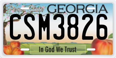 GA license plate CSM3826