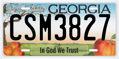 GA license plate CSM3827
