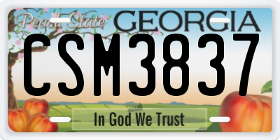 GA license plate CSM3837